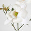 Magnolia Flower Stem With 2 Heads & Bud 87cm White