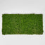 Moss Mat 100x50cm