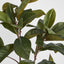 Real Touch Magnolia Tree 1.2M