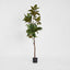Real Touch Magnolia Tree 1.7M