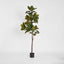 Real Touch Magnolia Tree 1.7M