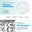 Giselle Bedding 21cm Mattress Pillow Top King Single