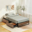 Bed Frame Metal Frame Single Bed Base 2 Drawers OSLO