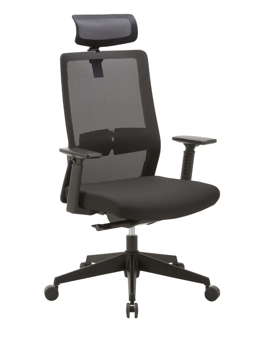 Mesh Ergonomic Office Chair with Headrest - Black