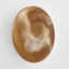 Halo Coat Hook Large Swirl Resin Toffee