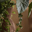 Orbiter Rattan Pedestal Planter I