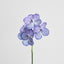Vanda Orchid Stem 66cm Purple