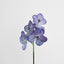 Vanda Orchid Stem 66cm Purple