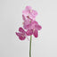 Vanda Orchid Stem 66cm Pink