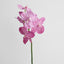 Vanda Orchid Stem 66cm Pink
