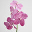 Vanda Orchid Stem 66cm Pink