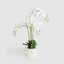 Potted Real Touch Phalaenopsis Orchid