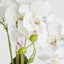 Potted Real Touch Phalaenopsis Orchid