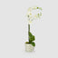 Artificial Orchid in Clay Pot 84cm White - House of Isabella AU