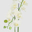 Artificial Orchid in Clay Pot 84cm White - House of Isabella AU