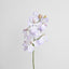 Dendrobium Orchid Spray Lilac
