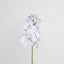 Dendrobium Orchid Spray Lilac