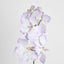Dendrobium Orchid Spray Lilac