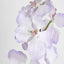 Dendrobium Orchid Spray Lilac