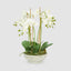Artificial Orchid in Pot White - House of Isabella AU