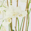 Artificial Orchid in Pot White - House of Isabella AU