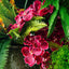 Real Touch phalaenopsis Orchid 78cm Fuschia - Pack of 12