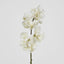Real Touch phalaenopsis Orchid 78cm White