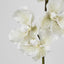 Real Touch phalaenopsis Orchid 78cm White