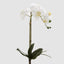 Orchids Phalaenopsis Real Touch with Leaves 53cm White - Pack of 12