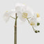 Orchids Phalaenopsis Real Touch with Leaves 53cm White - Pack of 12