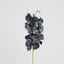 Orchid Phalaenopsis Spray Real Touch 70cm Black