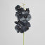 Orchid Phalaenopsis Spray Real Touch 70cm Black