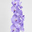 Real Touch Orchid 100cm Lavender