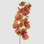 Orchid Phalaenopsis Spray 74cm Green