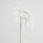 Orchid Spider Hanging 1.1m White - Pack of 12