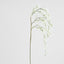 Orchid Spider Hanging 1.1m White - Pack of 12