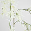 Orchid Spider Hanging 1.1m White - Pack of 12