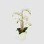 Orchid In Ceramic Pot Real Touch 71cm White