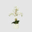 Orchid In Ceramic Pot Real Touch 71cm White
