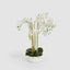 Artificial Orchid Potted Real Touch 71cm White