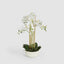 Artificial Orchid Potted Real Touch 71cm White