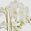 Artificial Orchid Potted Real Touch 71cm White
