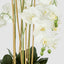 Artificial Orchid Potted Real Touch 100cm White
