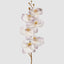 Orchid Stem 80cm Lavender - Pack of 12