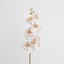Orchid Single Phalaenopsis Stem 80cm Sunset - Pack of 12
