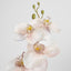 Orchid Single Phalaenopsis Stem 80cm Sunset - Pack of 12