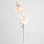 Orchid Single Stem 80cm Coral - Pack of 12