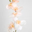 Orchid Single Stem 80cm Coral - Pack of 12