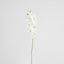 Large Moth Orchid Natural Touch Stem White - Pack of 12