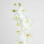 Large Moth Orchid Natural Touch Stem White - Pack of 12